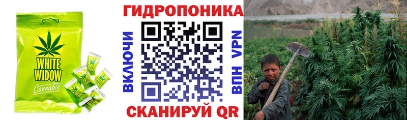 Cannafood конопля  Байкальск 