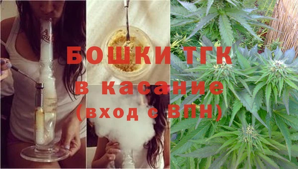 ГАЛЛЮЦИНОГЕННЫЕ ГРИБЫ Армянск