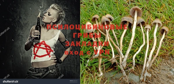 ГАЛЛЮЦИНОГЕННЫЕ ГРИБЫ Армянск