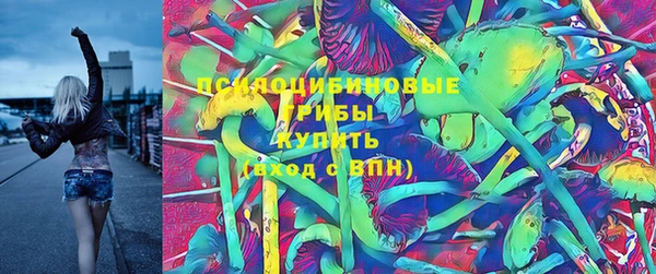 ГАЛЛЮЦИНОГЕННЫЕ ГРИБЫ Армянск