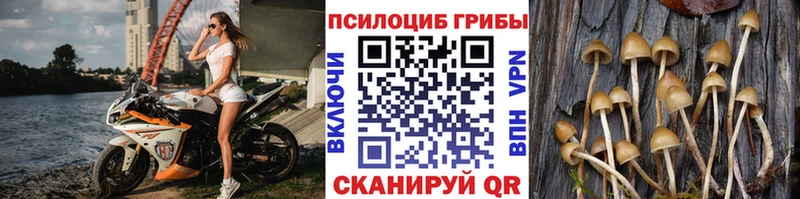 Псилоцибиновые грибы ЛСД Байкальск